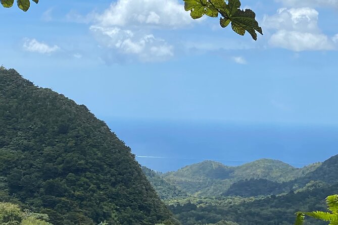 Half Day Grenada Seven Sisters, Grand Etang Nature Center Hiking Tour - Tour Highlights