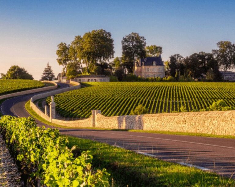 Half Day In The Médoc From Bordeaux 2 Wineries And 6 Wines Overview Of The Tour