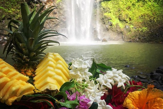 Half Day Kayak And Waterfall Hike Tour In Kauai With Lunch Included Amenities