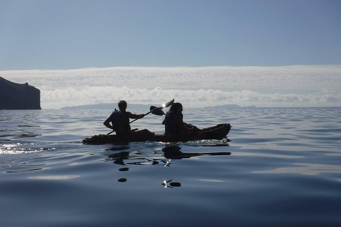 Half Day Kayak Tours - Tour Details