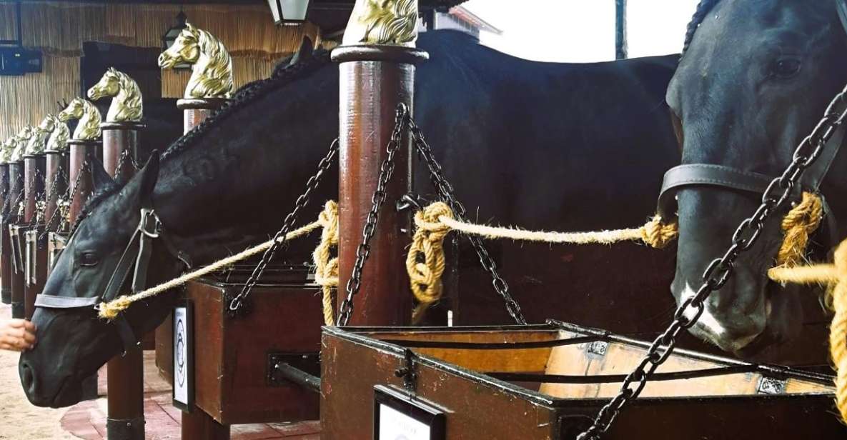 Half-Day Lusitanian Horses & Photography Museum Private Tour - Tour Details