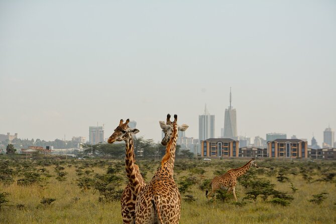 Half Day Nairobi National Park And Maasai Market With Pick Up Tour Overview