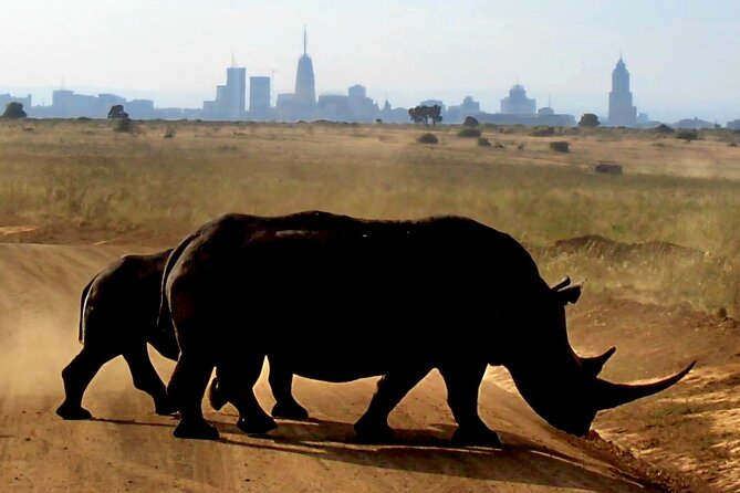 Half Day Nairobi National Park Tour With Admission Inclusions And Exclusions