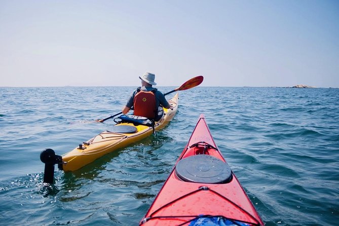 Half Day Orleans Island Small Group Sea Kayaking Tour Overview Of The Tour