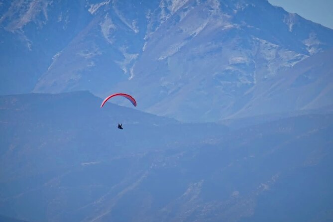 Half-Day Paragliding in Marrakech and Atlas Mountains - Pricing and Booking Information