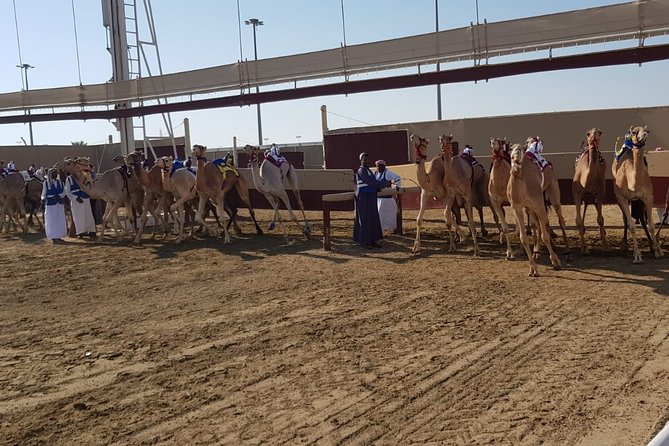 Half Day Private Guided Camel Race Tour In Qatar Tour Overview