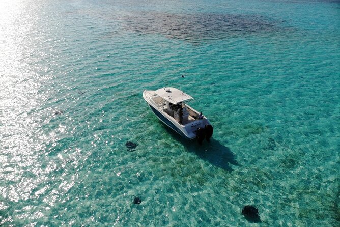 Half Day Private Stingray City Charter Grand Cayman Btc Overview Of The Charter