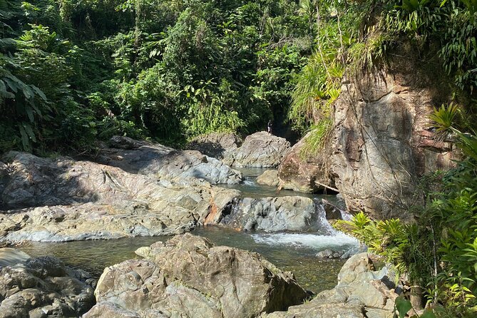 Half Day River Adventure In El Yunque With A Local Exploring The Fajardo River