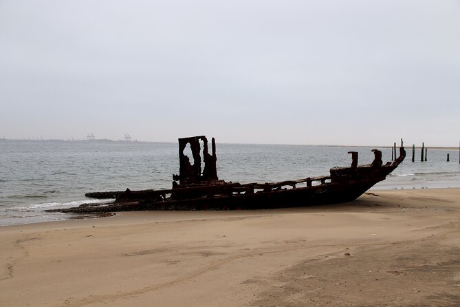 Half Day Seal Kayak Adventure At Pelican Point In Walvis Bay Inclusions And What To Expect