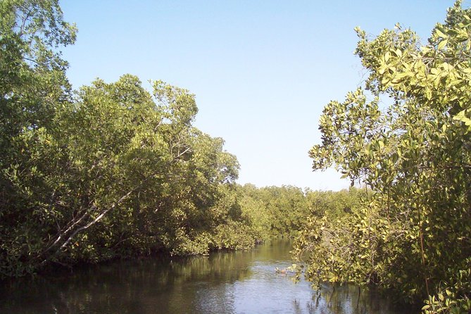 Half-Day Somone Lagoon and Bandia Park Safari From Dakar - Tour Overview