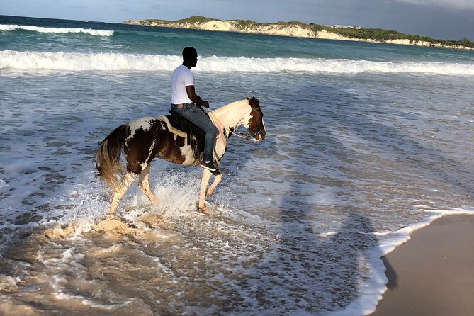 Half Day Tour 2 In 1, Redonda Mountain & Horseback Riding Tour In Macao Beach Tour Logistics