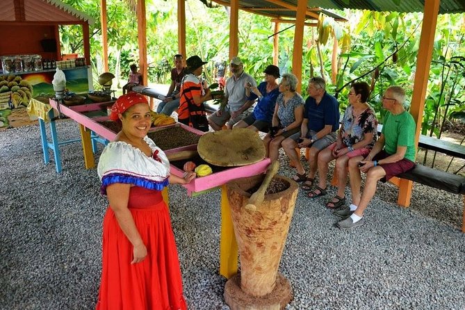 Half-Day Tour: Dominican Discovery Of a Culture - Tour Details