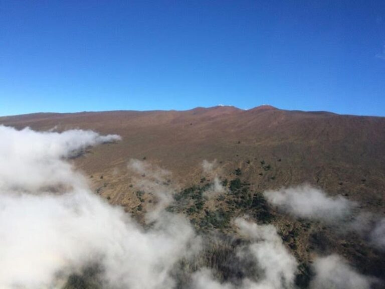 Hana Rainforest And Haleakala Crater 45 Min Helicopter Tour Activity Details