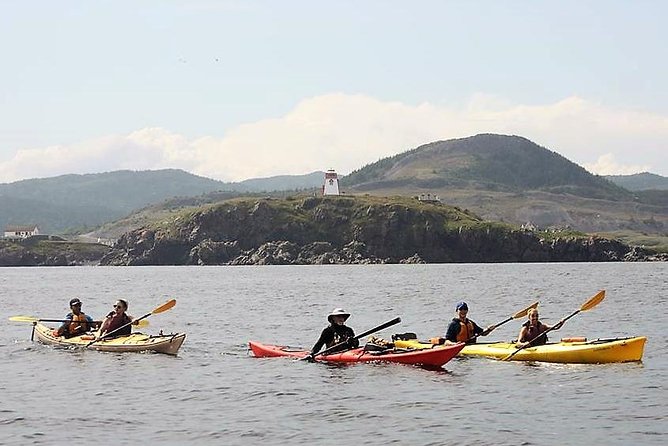 Harbour Kayak Tour Tour Details