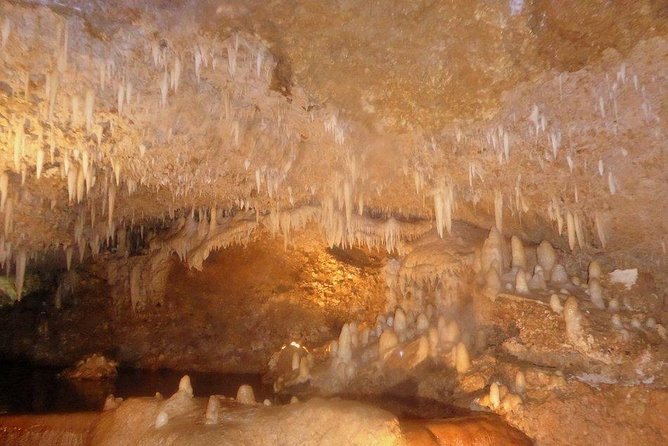 Harrisons Cave Tour From Bridgetown - Tour Overview