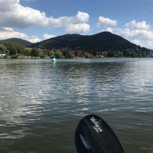 Heidelberg: 2 Hour Kayak Tour Overview Of The Kayak Tour