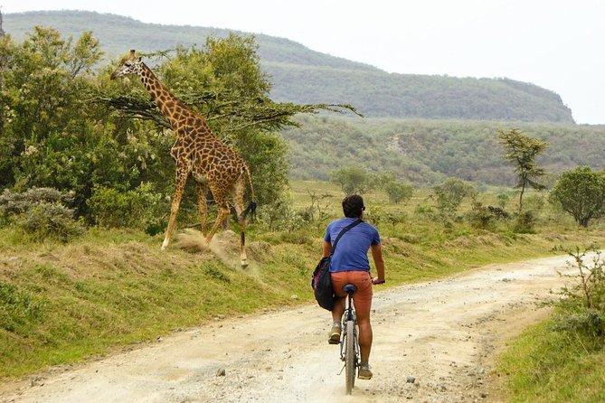 Hells Gate & Lake Naivasha Small Group Day Tour Guaranteed Daily Departure Tour Overview