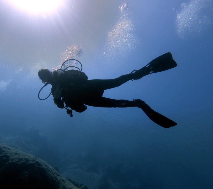 Hersonissos, Stalida: Beginner Scuba Diving Experience Overview Of The Scuba Diving Experience