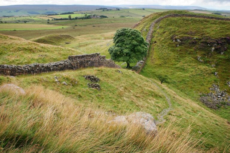 Hexham: Hadrians Wall And The Romans Full Day Guided Tour Exploring Hadrians Wall