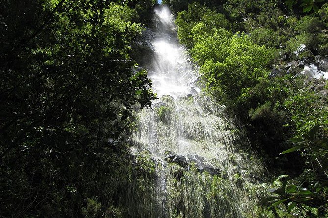 Hidden Corners: Levada Walk From Funchal Overview Of The Activity