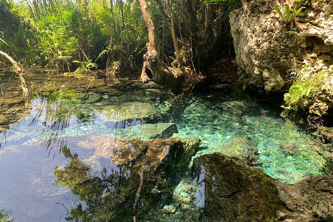 Hidden Gems of the North, Puerto Rico Private Tour - Overview of the Tour