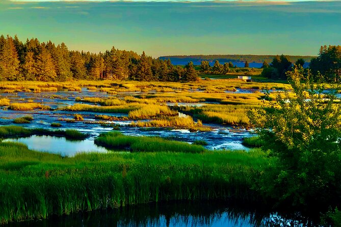 Hidden Gems Tour Lunenburg Historic Town Sightseeing