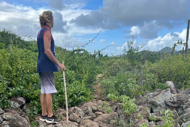 Hike Goto Flamingo Meer Trail & Explore North Bonaire Trail And Activity Details