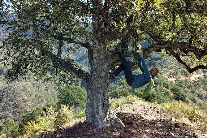 Hike the Cork Oak Trail and Try Some Delicious Cheese - Trail Details