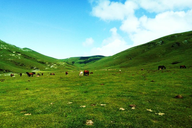 Hike the Heart of the Basque Country - Scenic Countryside Exploration