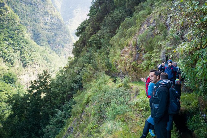 Hiking and Trekking Tours in Madeira - Pristine Laurissilva Forests