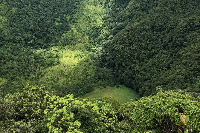 Hiking In Saint Kitts: Mount Liamuiga (volcano) Overview Of The Hike