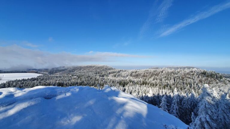 Hiking In The Table Mountais For Seniors Activity Overview