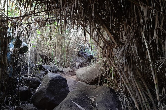 Hiking In Waterfalls & Rainforest By 2 Native Guides Whats Included