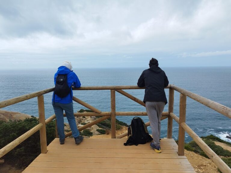 Hiking Tour Along The West Coastline Tour Highlights