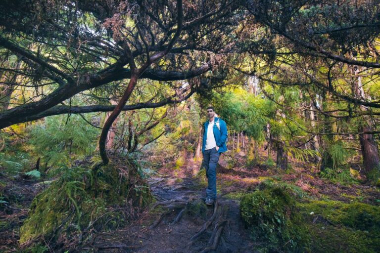 Hiking Trails Landscapes Of Terceira Island