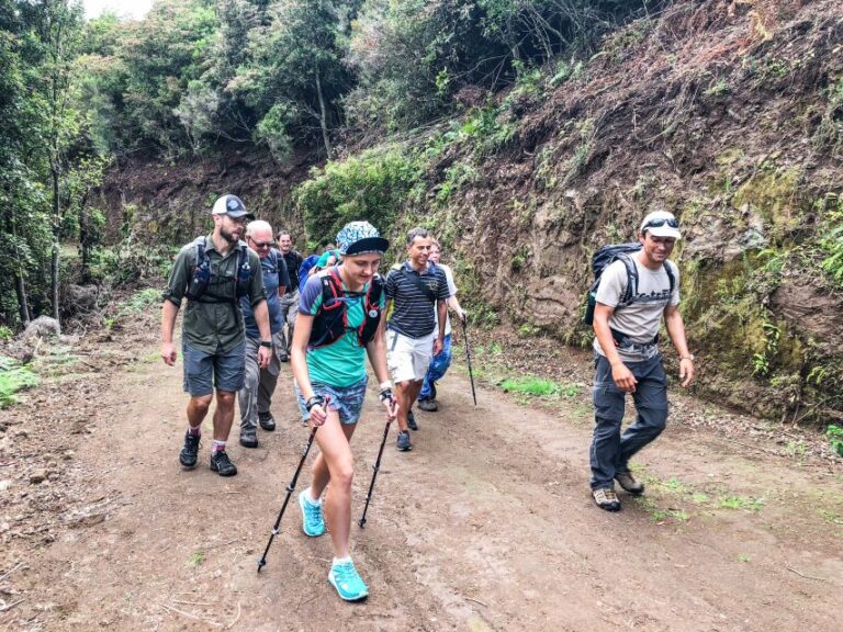 Hiking Trip With A Local Trip Overview