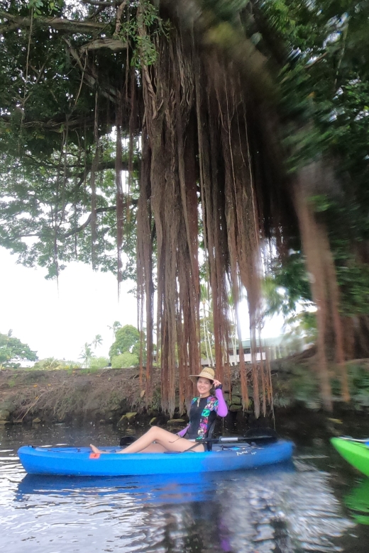 Hilo: Wailoa River To King Kamehameha Guided Kayaking Tour Tour Overview