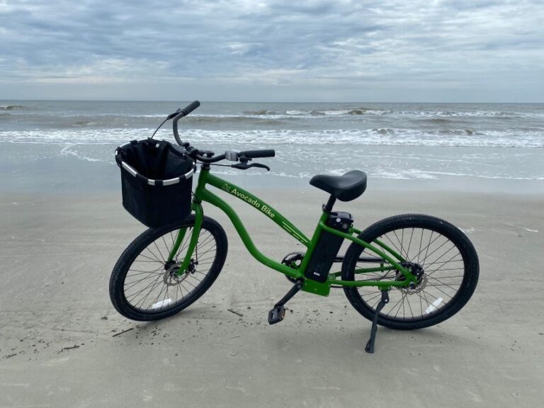 Hilton Head: Half Day Electric Bike Rental Options Overview And Pricing