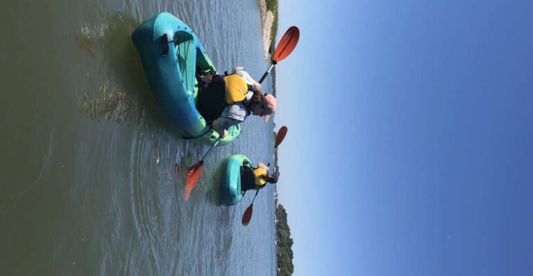 Hilton Head Island: 1.5 Hour Guided Small Group Kayak Tour Tour Overview And Details