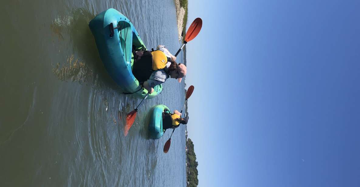 Hilton Head Island: 1.5-Hour Guided Small-Group Kayak Tour - Tour Overview and Details