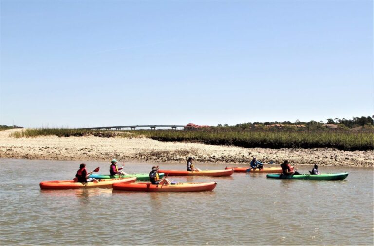 Hilton Head Island: Guided Kayak Tour With Coffee Tour Overview