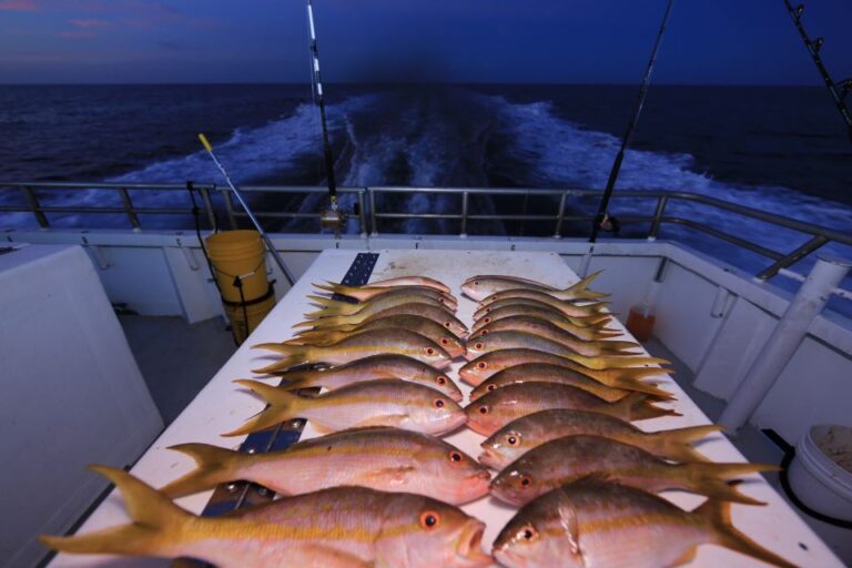 Hollywood, Fl: Family Friendly Drift Fishing Boat Trip Trip Overview