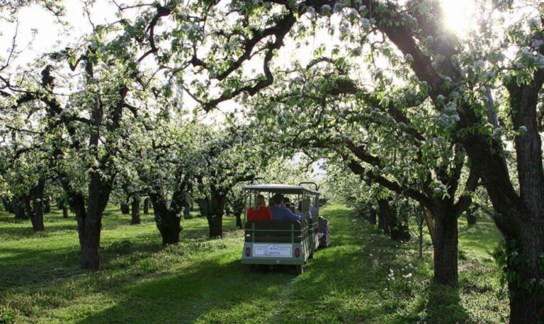 Hood River: Orchard Tour Activity Overview