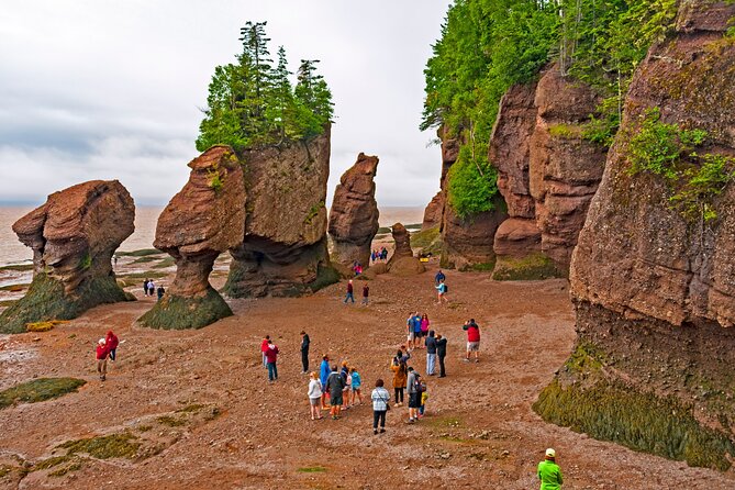 Hopewell Rocks Express Tour From Moncton Inclusions And Amenities