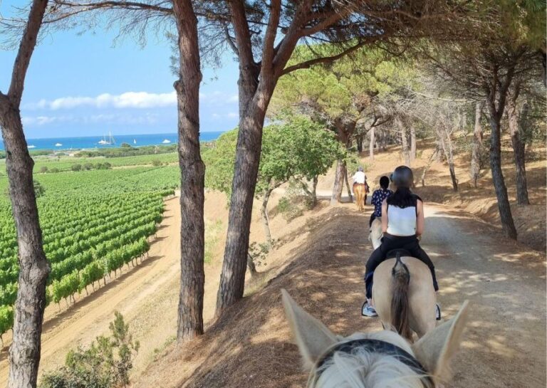 Horse Back Riding And Wine Tasting In Ramatuelle Overview Of The Experience