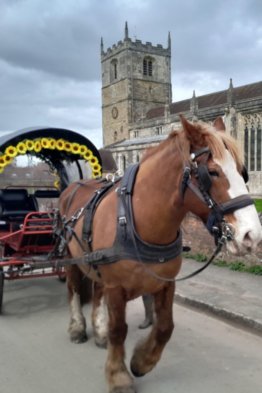 Horse Drawn Carriage Ride and Picnic Hamper - Overview of the Experience