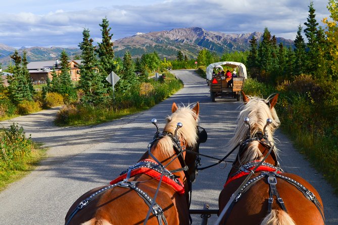 Horse Drawn Covered Wagon Ride With Backcountry Dining Experience Alaskan Wilderness