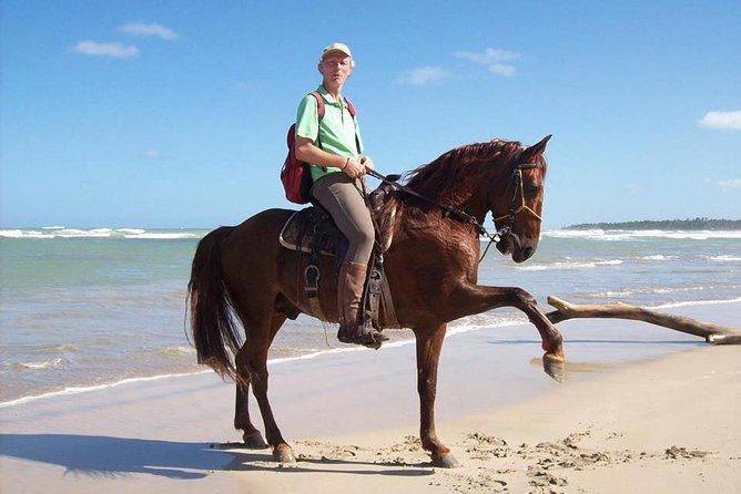 Horse Riding (1 Hour) - Overview of the Tour