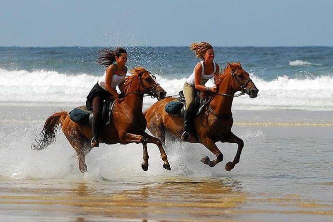 Horse Riding Agadir - Overview of the Experience