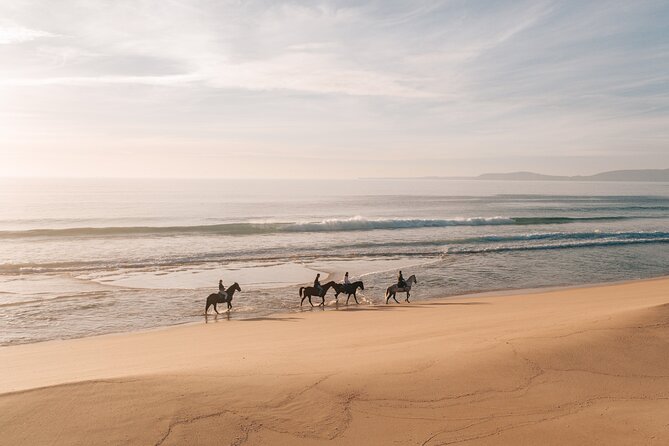 Horse Riding On The Beach With Private Transfer From Lisbon Horseback Riding Experience